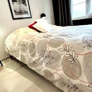 le-campagnard-le-maryline-wifi-clim-parking-gratuit.hotels-rhonealpes.com/